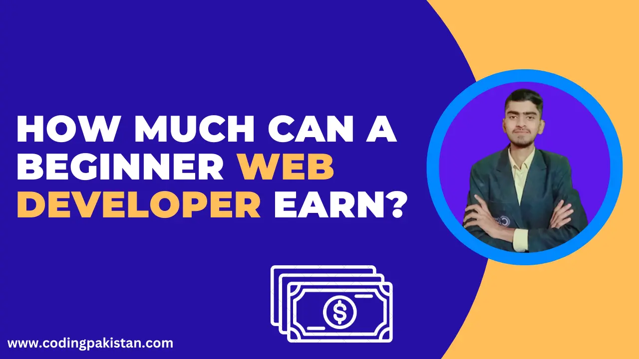 How Much Can a Beginner Web Developer Earn?